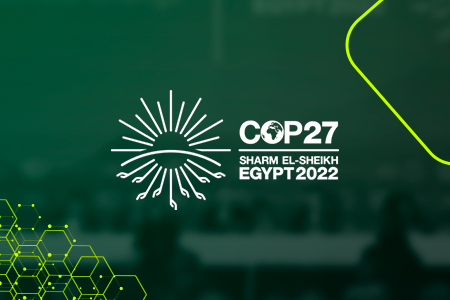 COP 27