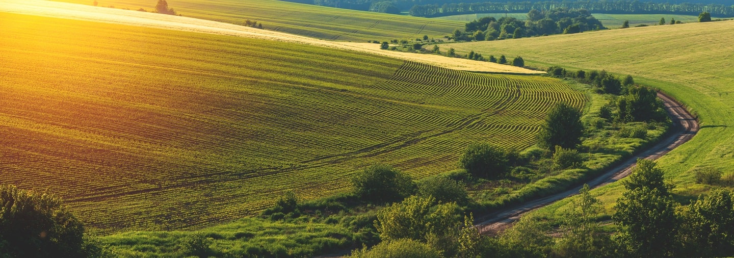 agronegócio e mercado de créditos de carbono