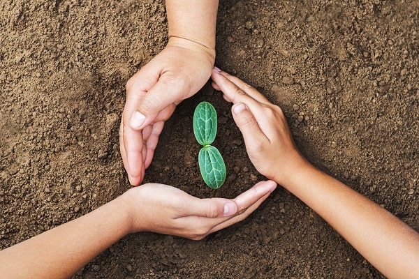 responsabilidade social ambiental