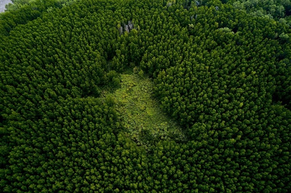 reduzir pegada de carbono; projetos de carbono para reduzir emissões