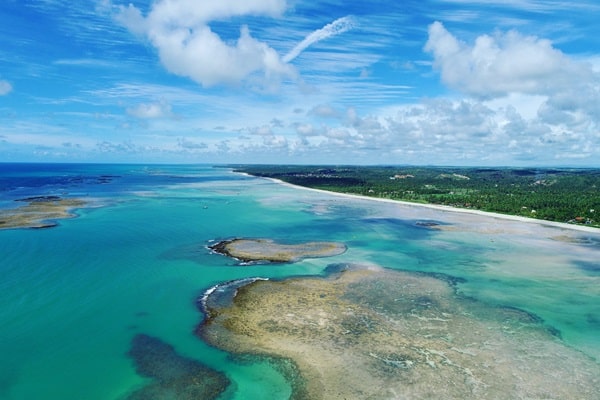 Vegetações costeiras, Brasil, carbono azul