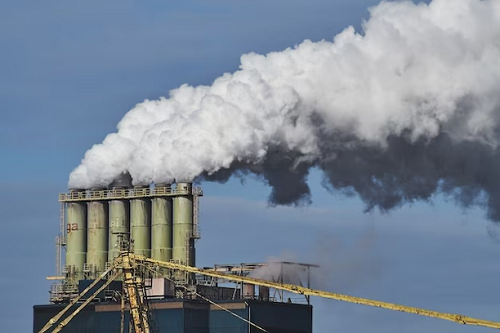 Gestão climática para empresas: entenda os desdobramentos da Regulamentação do Mercado de Carbono no Brasil