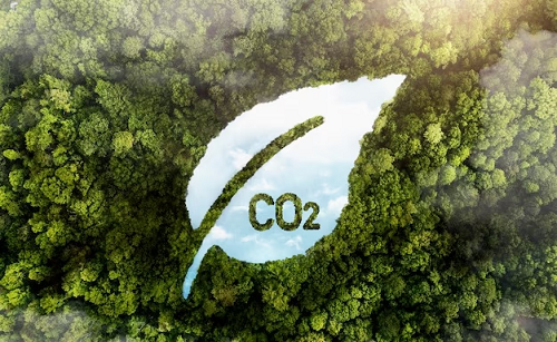 Descubra como a Economia Circular pode ajudar a reduzir emissões de CO2
