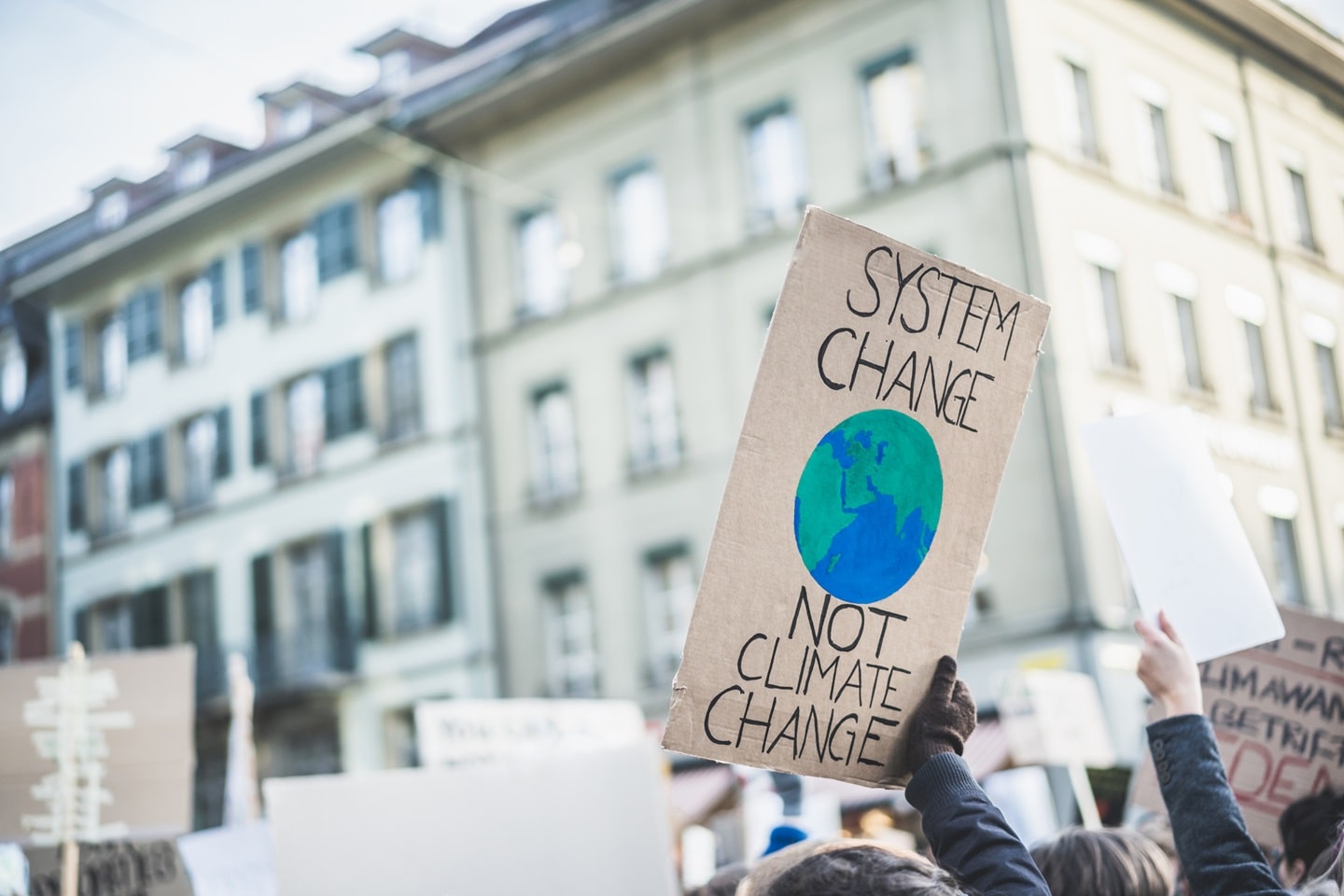 Processo crise climática jovens portugueses